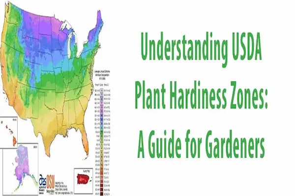 understanding plant hardiness zones