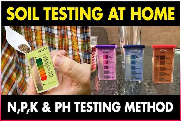 soil testing basics at home