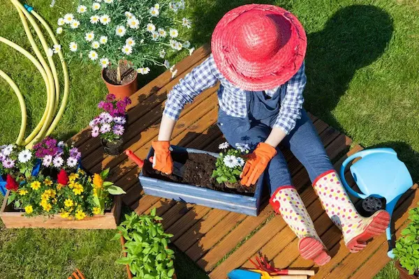 beginner guide to garden planning
