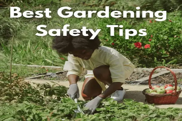 garden safety tips for beginners